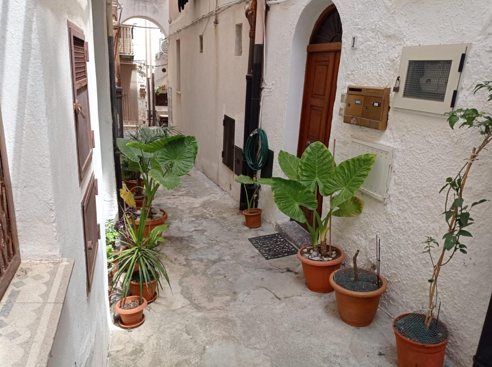 Cortile Maggiore Home تْشيفالو المظهر الخارجي الصورة